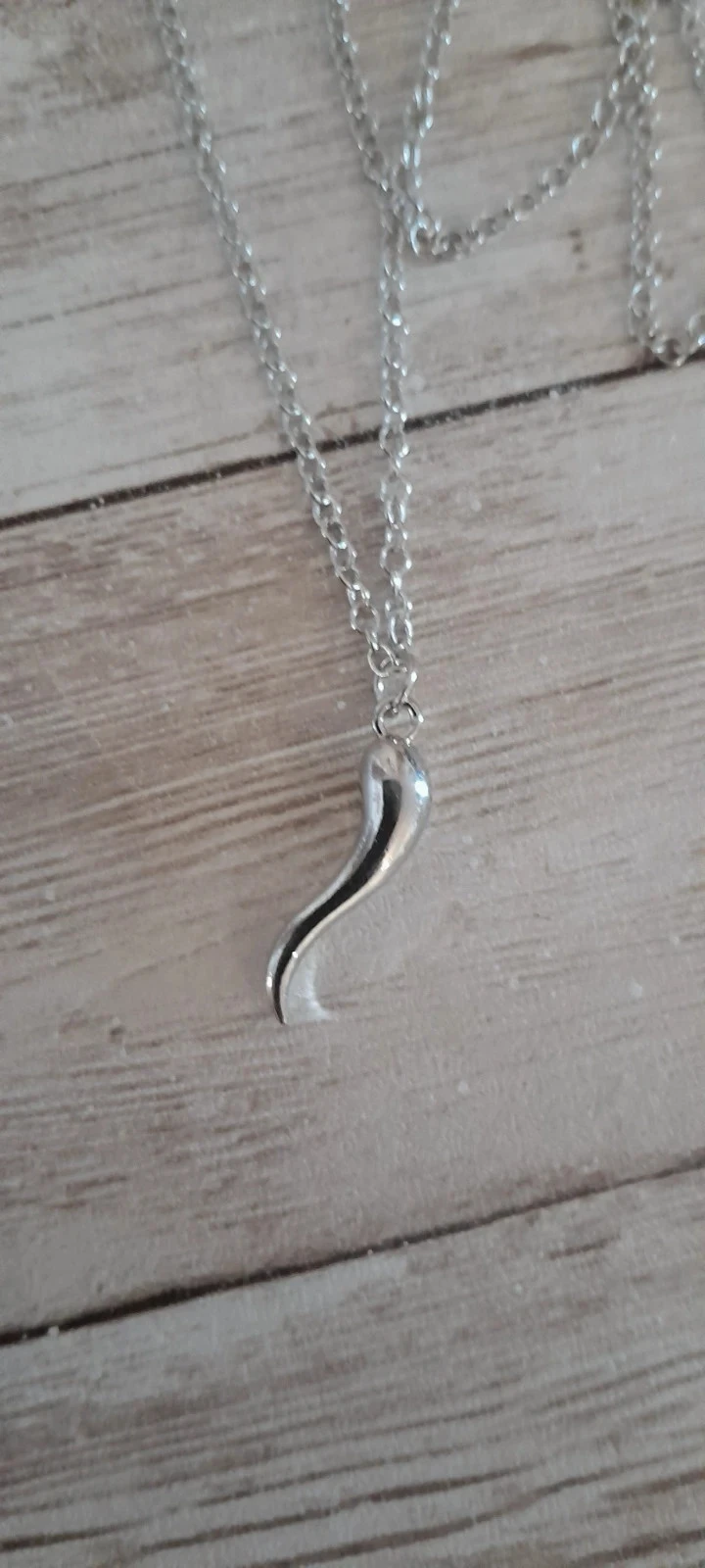 Amulet ketting, Italiaanse hoorn, zilverkleurige kleur – photo 2